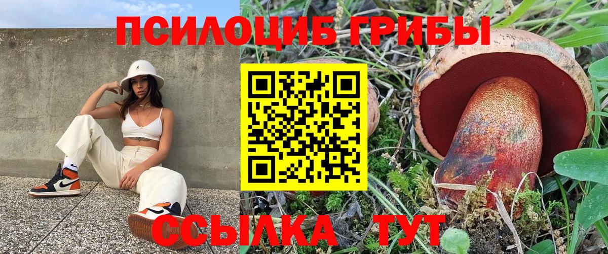 Шали  где найти   Вход с VPN  Галлюциногенные грибы Psilocybine cubensis  Галлюциногенные грибы GOLDEN TEACHER 